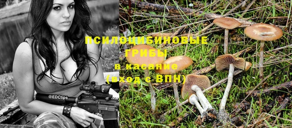 дмт Балабаново