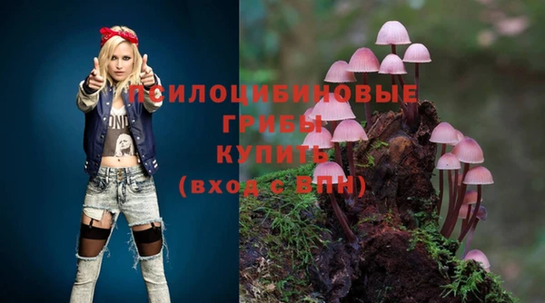 дмт Балабаново